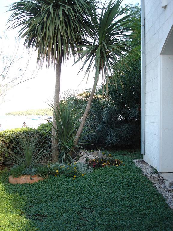 Apartments Olea Marina Exterior photo